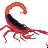 skorpion